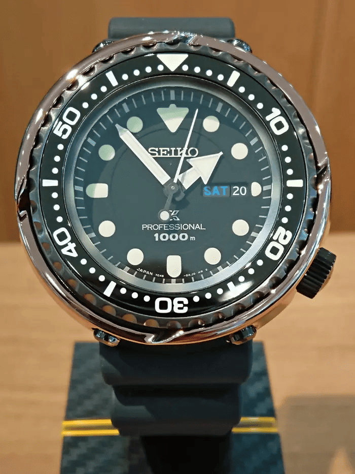 薄紫の輝き「ヴァイオレット・オーシャン」 | プリベ石川｜愛媛県(松山