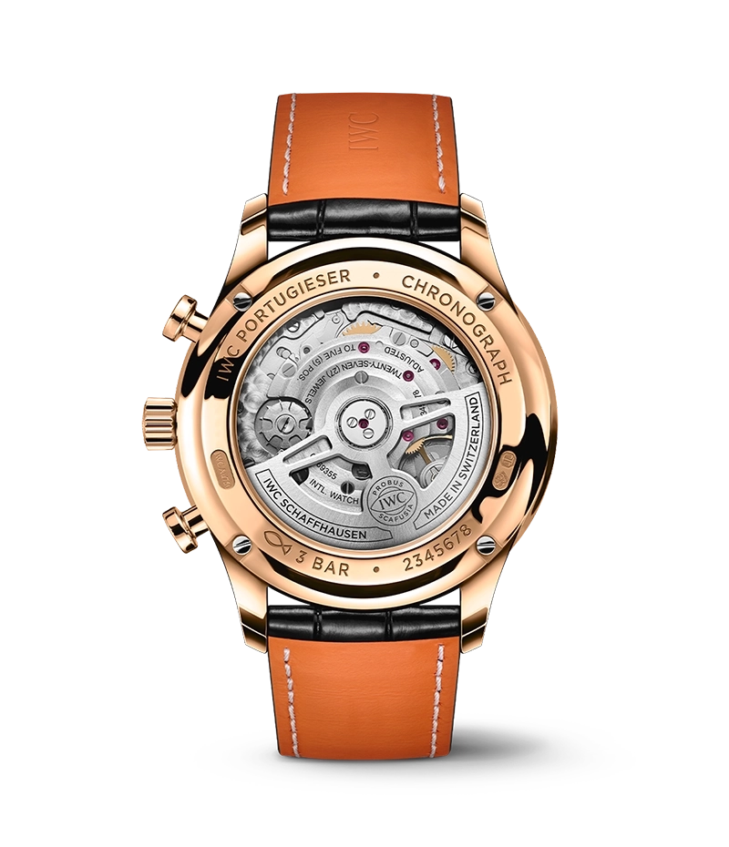 チャペウエンシス・チュリフォルミス　輸入株 iwc-schaffhausen-portugieser-